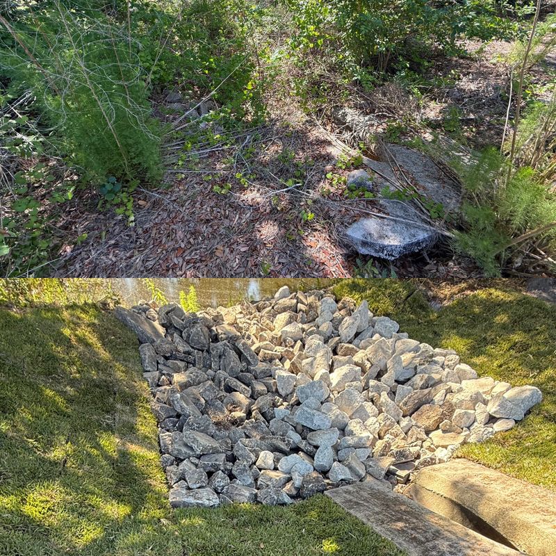 Hardscape and Softscape Installation