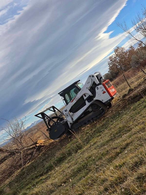 Land Clearing