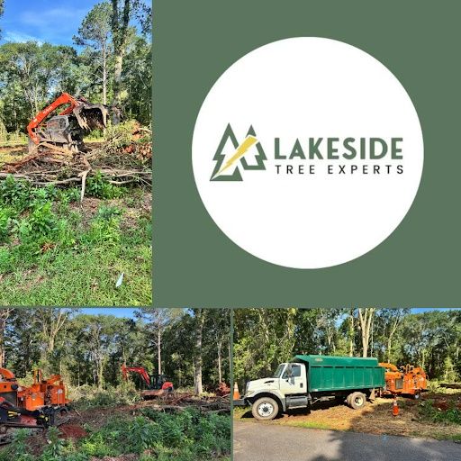 Land Clearing