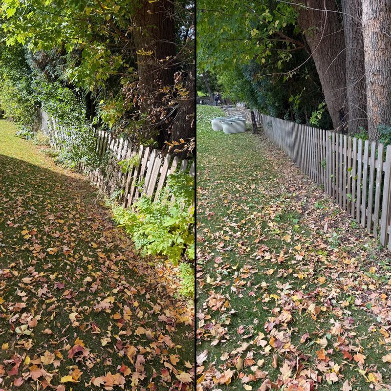 Seasonal Clean-ups