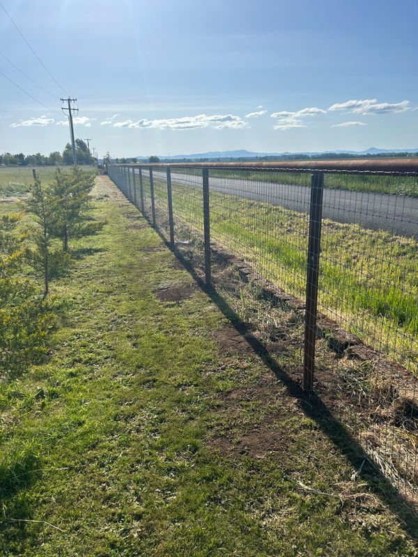 Fence Installation