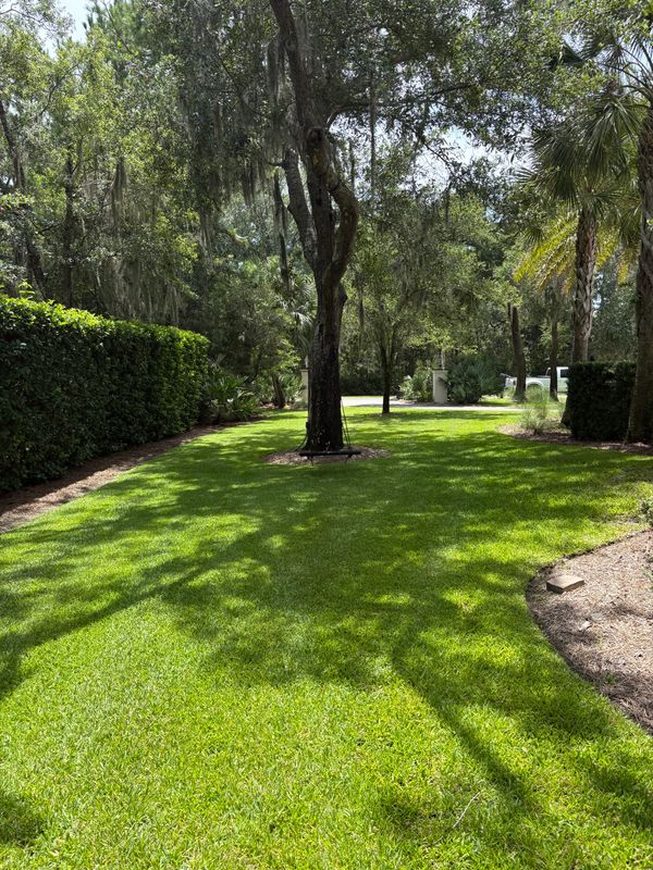Lawn Maintenance