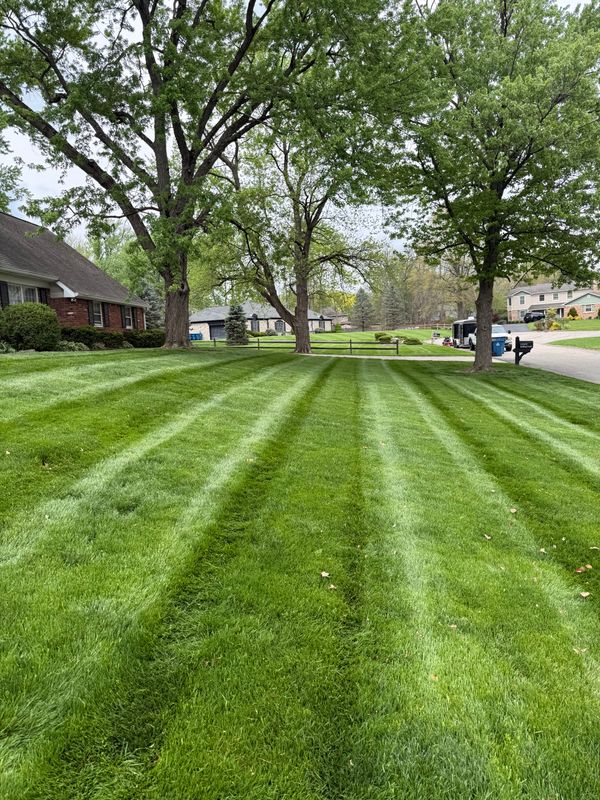 Lawn Care and Maintenance