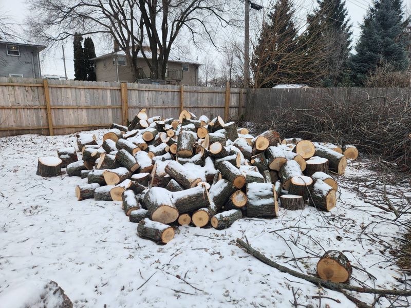 Stump Removal