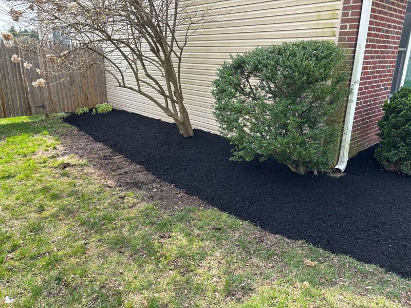 Landscape Design