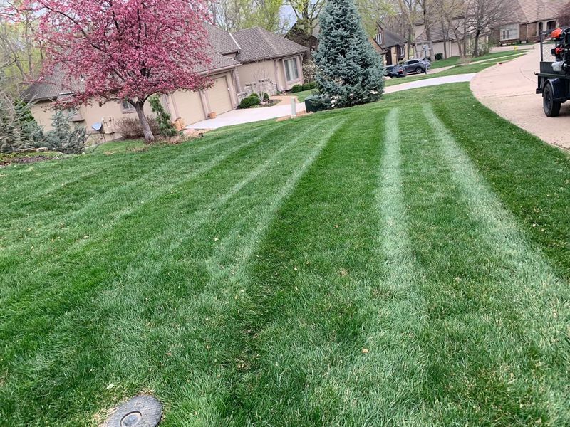 Lawn Care and Maintenance