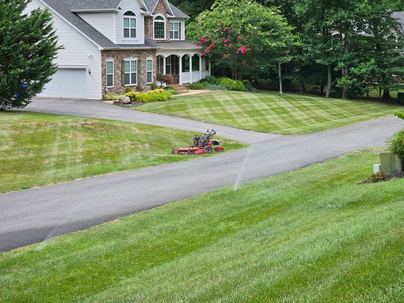 Lawn Maintenance