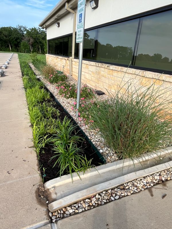 Mulch Installation