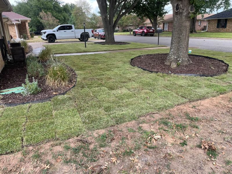 Sod Installation