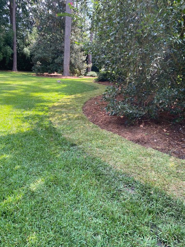 Lawn Maintenance