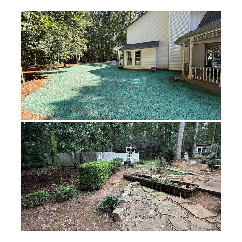 Landscape Design & Installation