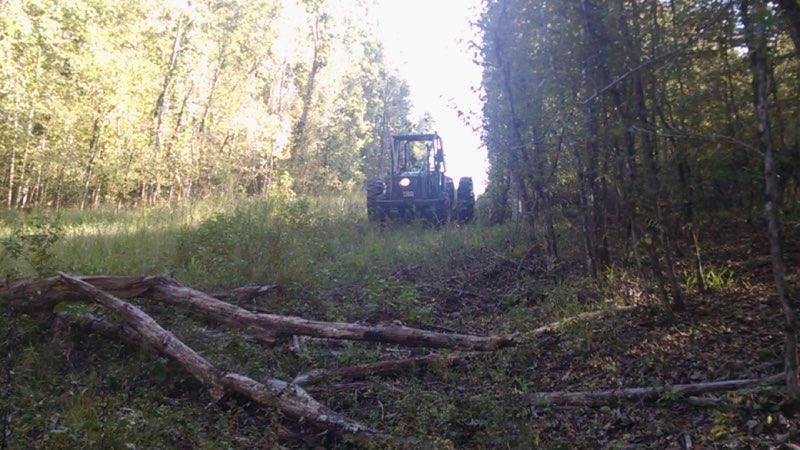 Heavy Forestry Mowing