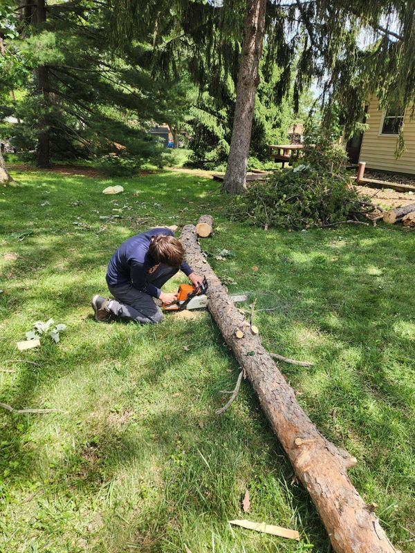 Tree Removal
