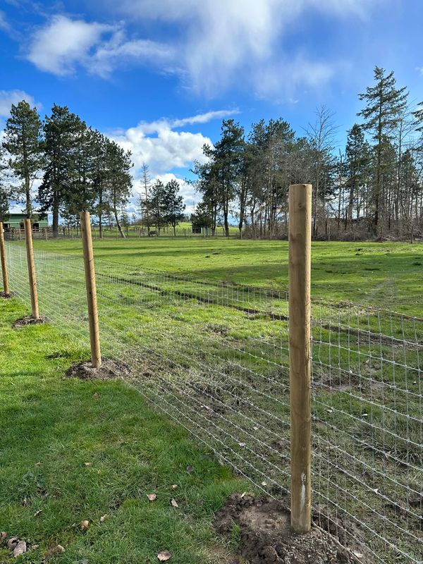 Fencing Repair & Installation
