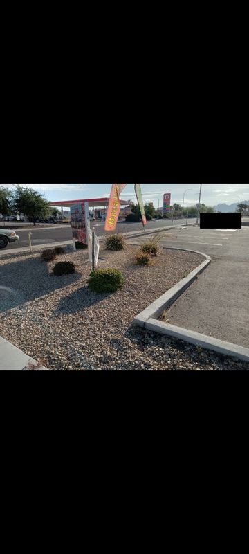 Shrub Trimming