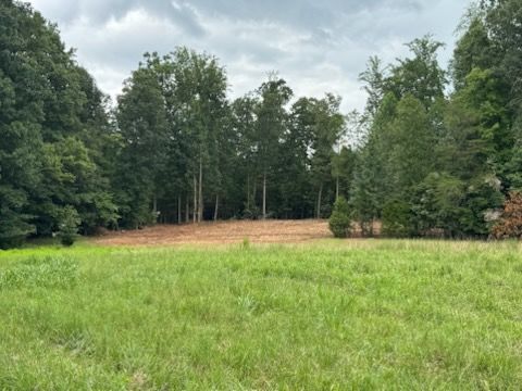 Forestry Mulching