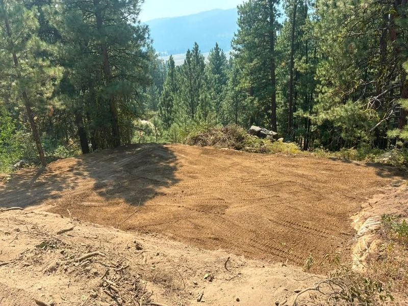Land Clearing