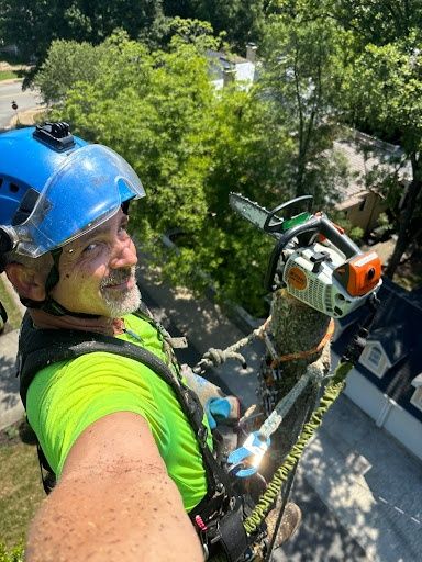 Tree Trimming