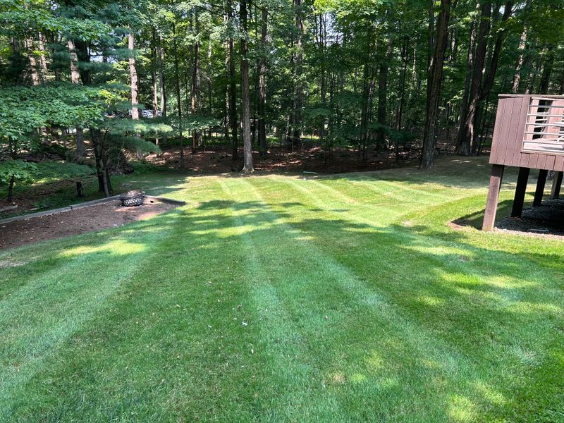 Lawn Maintenance