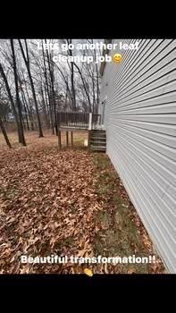 Fall Clean Up