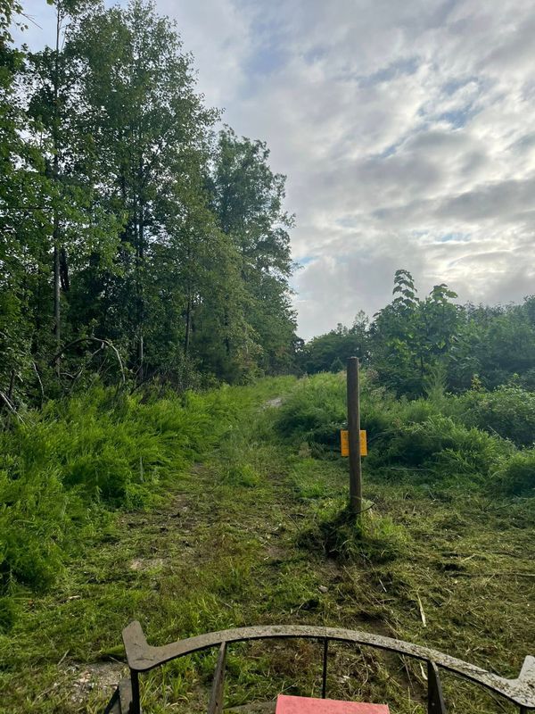 Brush cutting/clearing