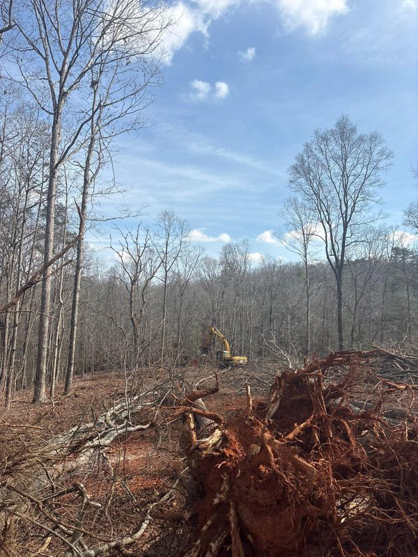 Forestry Mulching