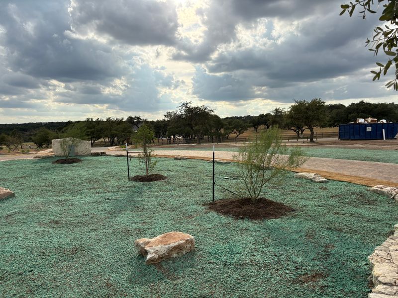 Hydroseeding