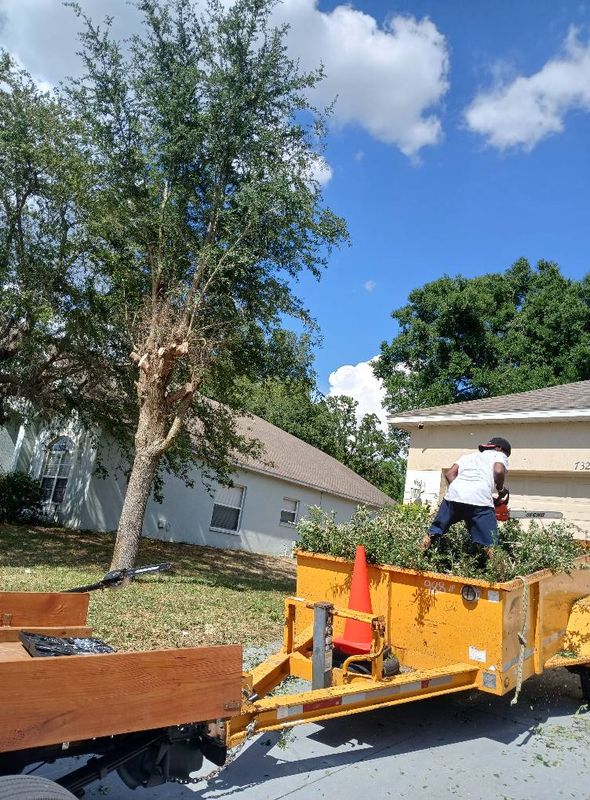 Tree Services