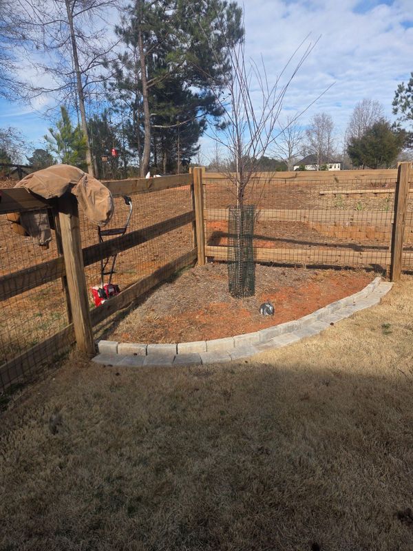 🏢 Commercial Landscape Installation
