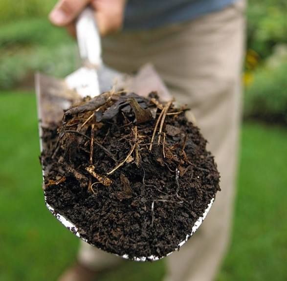 Lawn Maintenance