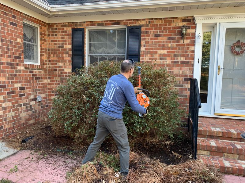 Shrub & Plant Trimming 