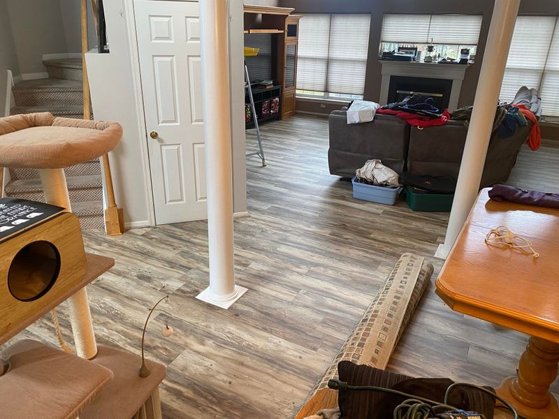 Vinyl and Laminate Flooring
