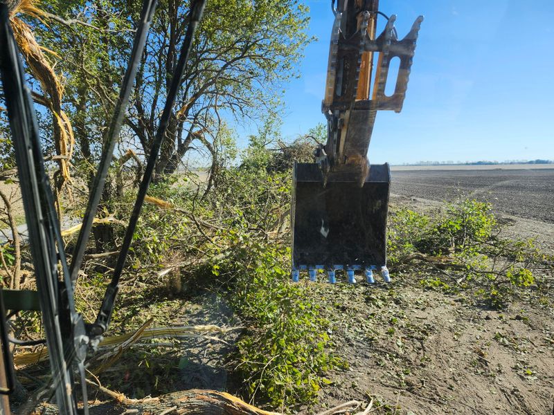 Tree Line Cleanups