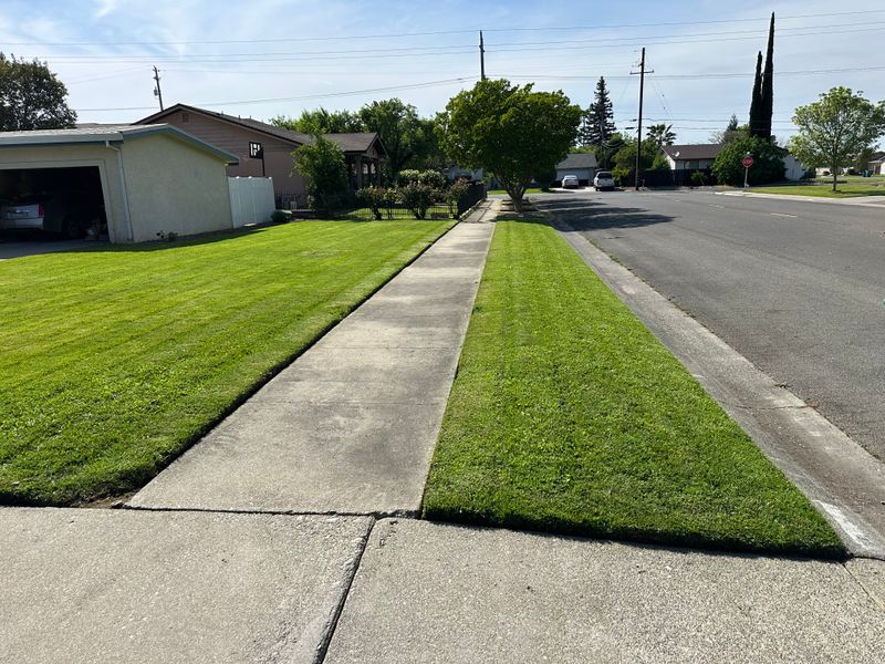 Lawn Maintenance