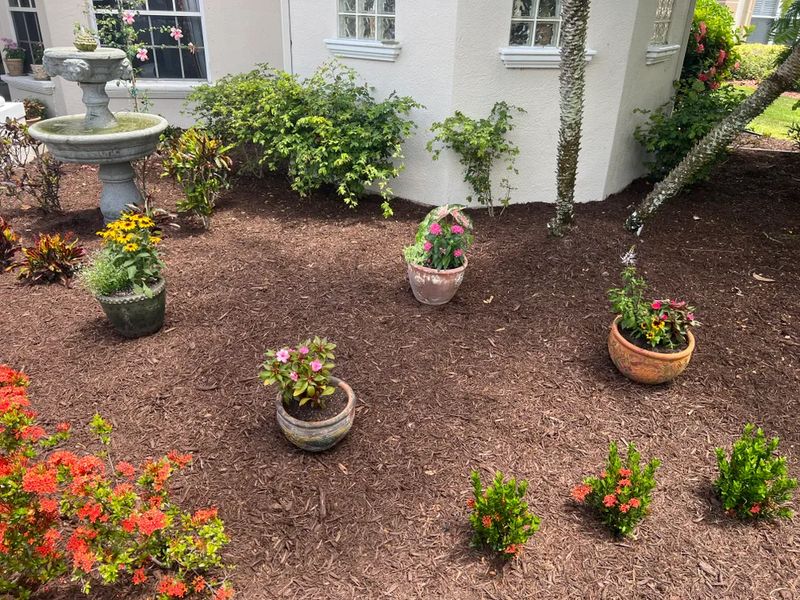 Mulch