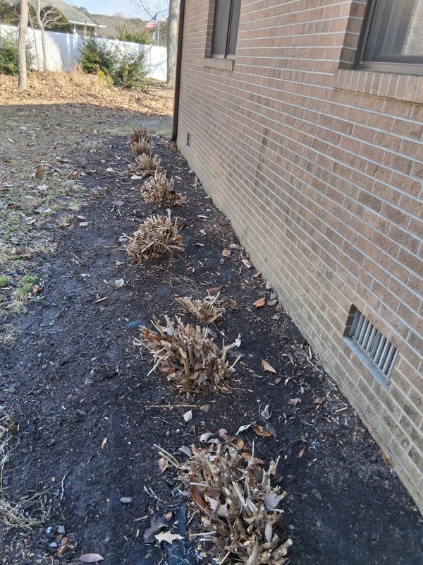 Spring & Fall Cleanup