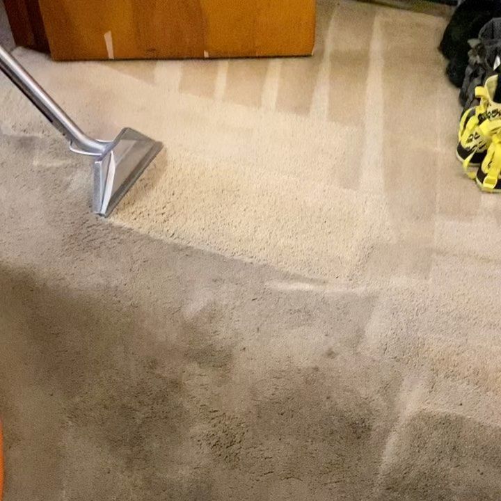 Carpet Cleaning