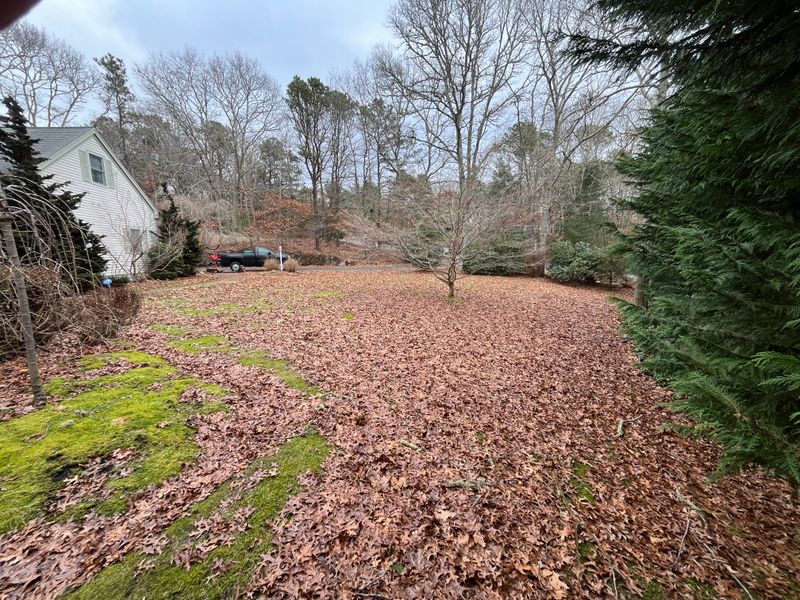 Fall CleanUp