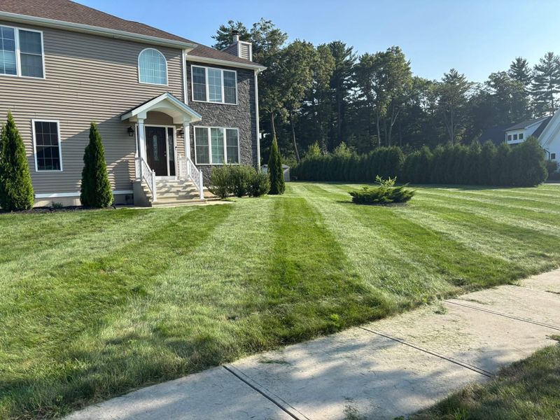 Landscape Design