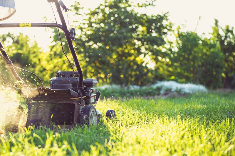 Property Maintenance