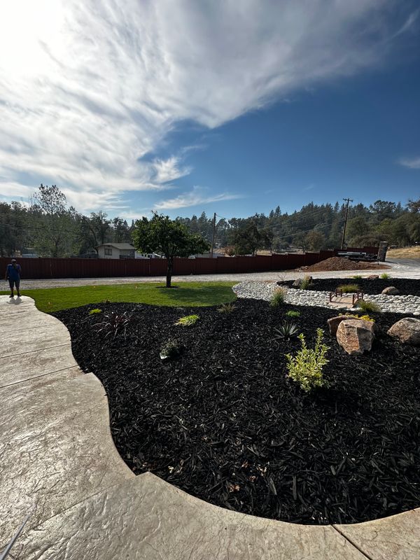 Landscaping
