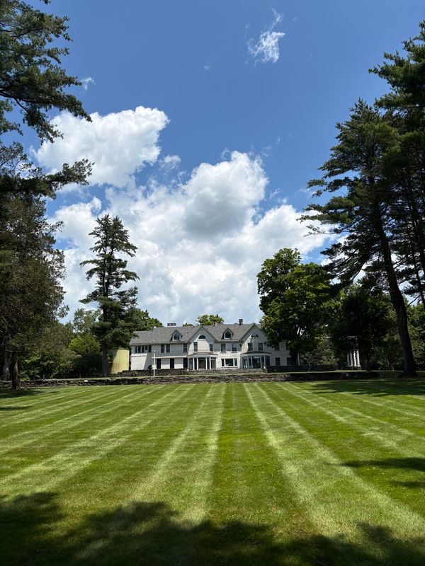 Lawn Maintenance
