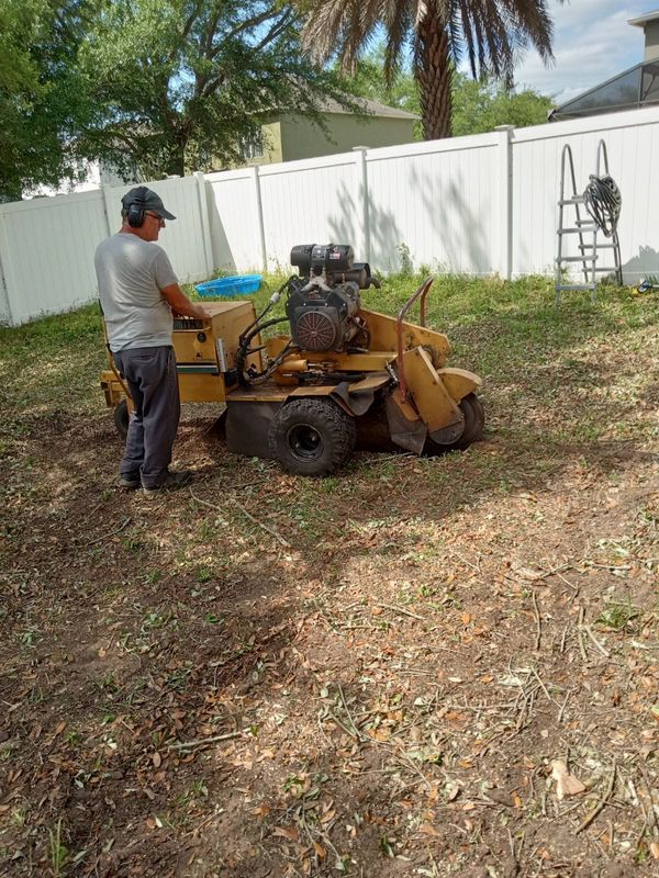 Tree Services