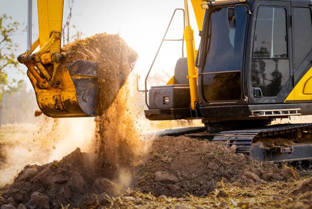 Excavation and Dirt Removal