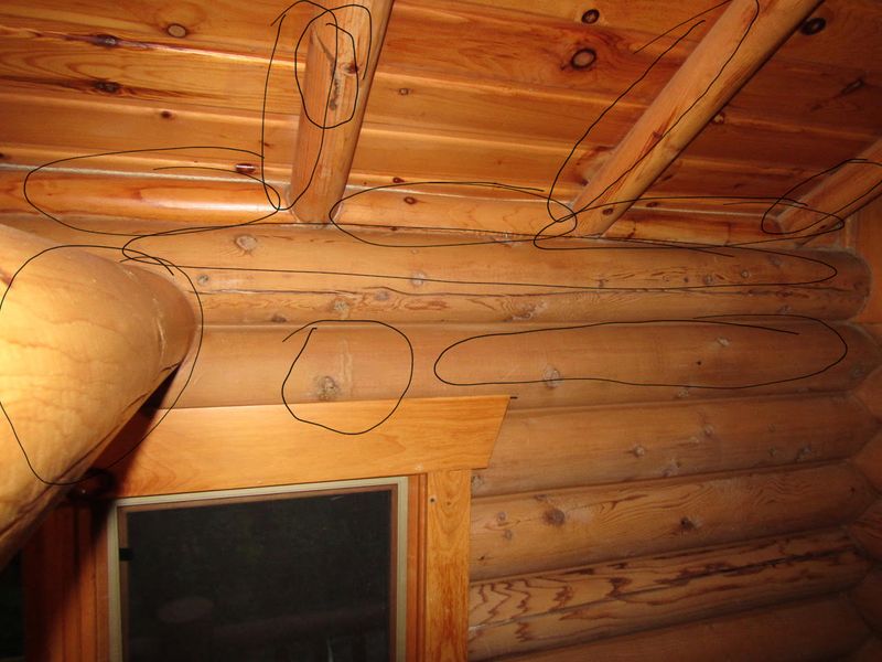 Interior Renovations