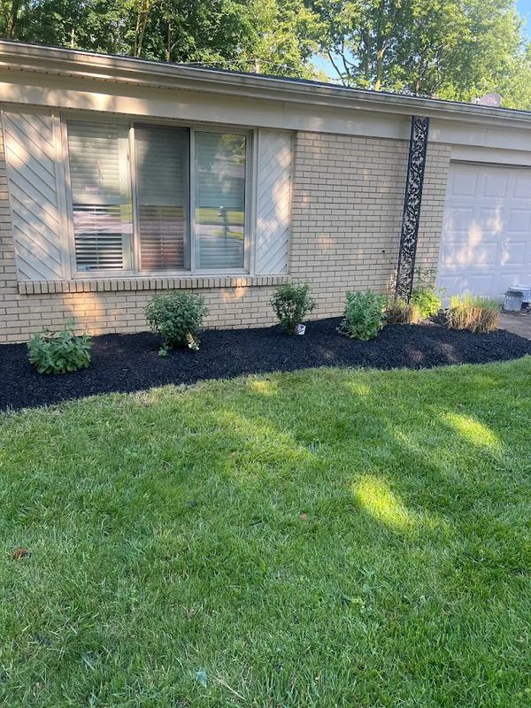 Sod Installation & Lawn Replacement