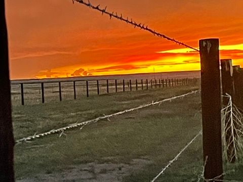 Barb wire & high tensile fence