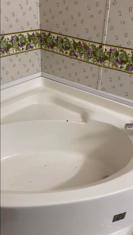 Interior Renovations