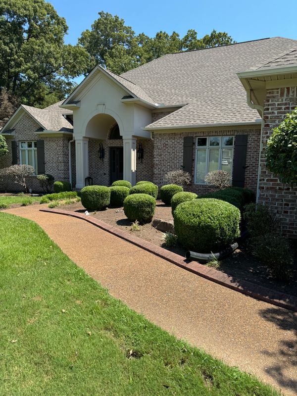 Shrub Trimming
