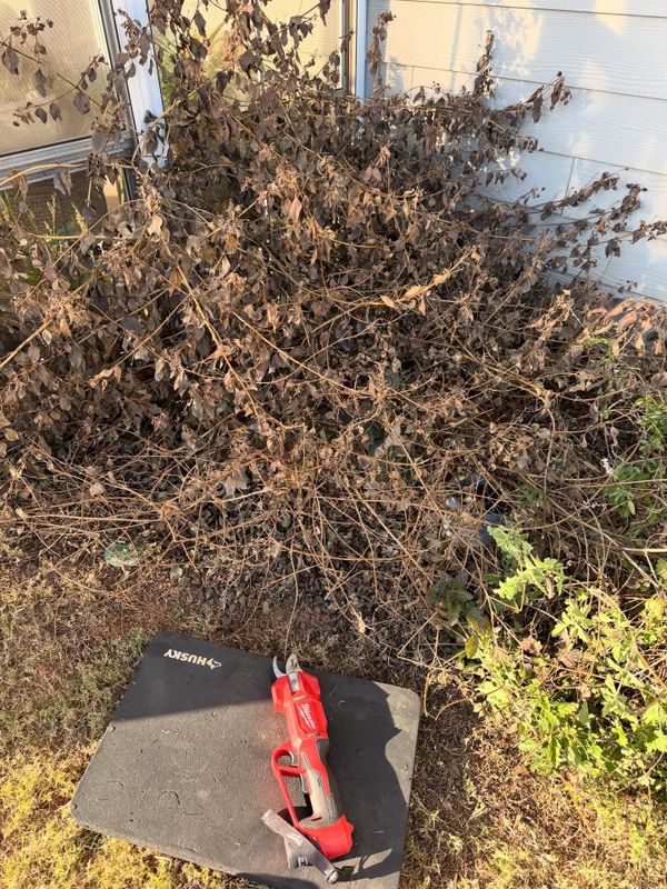 Other Lawn Services